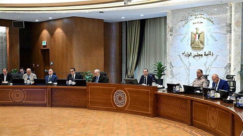 مجلس الوزراء، فيتو