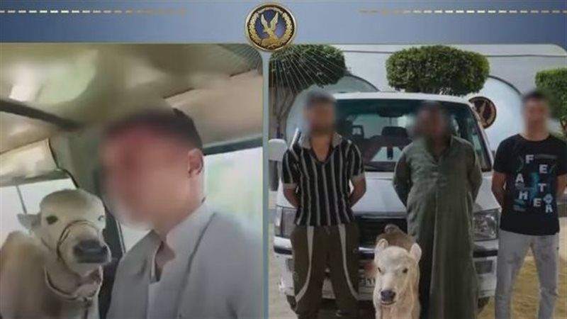 الداخلية تكشف ملابسات