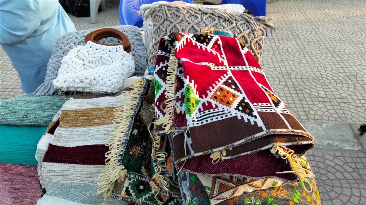 فاعليات المبادرة،فيتو