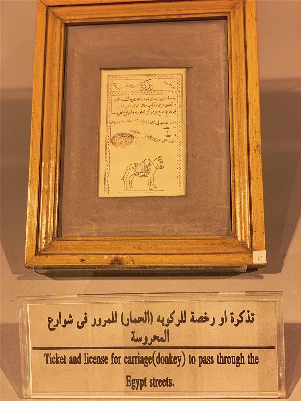 d3dc8d67e6.jpg