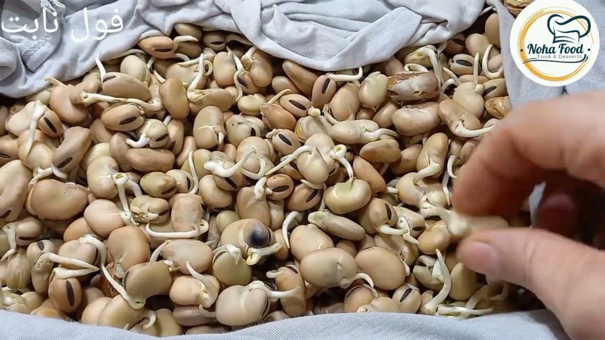 خطوات عمل الفول النابت
