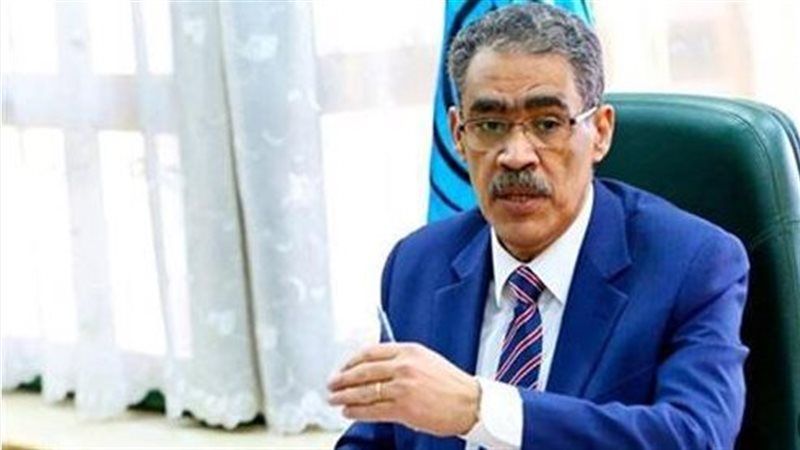 ضياء رشوان، فيتو