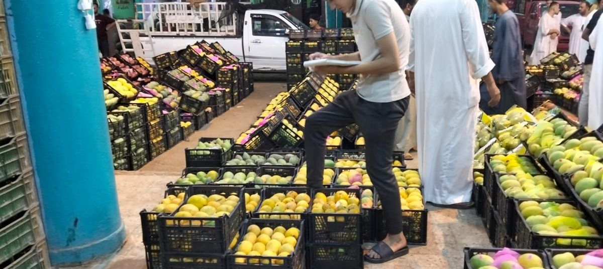 جانب من المزاد بعدسة، فيتو