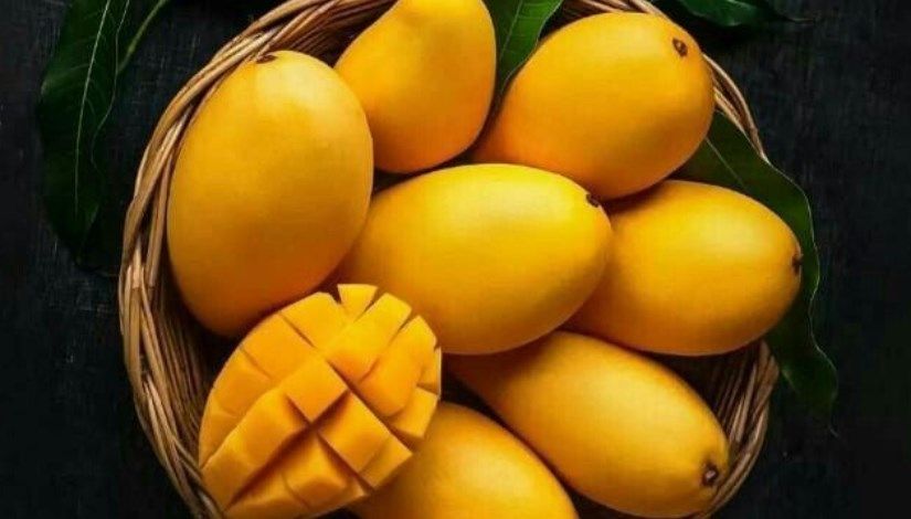 أسعار المانجو اليوم في الأسواق، فيتو
