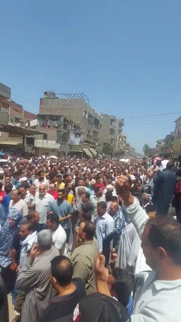 780644561c.jpg