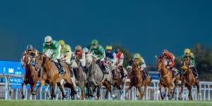 16 أمسية حافلة في برنامج مضمار أبوظبي بالموسم الجديد