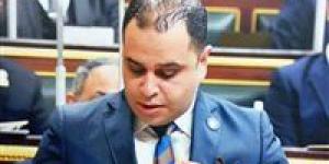 طاقة النواب لـ تحيا مصر: وقف العمل بنظام العدادات التبادلية ليس الأنسب ولابد من استمراره لتعزيز استثمارات الطاقة الشمسية