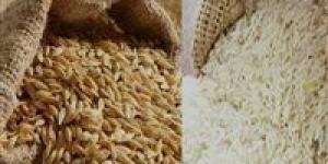 سعر
      الأرز
      الشعير
      اليوم
      ..كم
      سعر
      طن
      الأرز
      الشعير
      الآن
      2025
      ؟(تحديث)