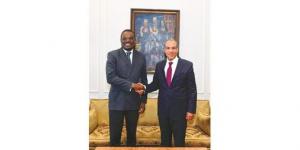 وزير الخارجية: مصر مستعدة لنقل خبراتها وتجاربها الصحية والدوائية إلى الدول الأفريقية