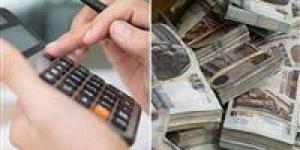 استاذ اقتصاد: صفقات استثمارية كبرى تعزز قدرة مصر على الوفاء بالتزاماتها