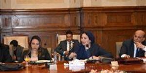 النائبة شيرين صبري تطالب وزير الإسكان بحسم مطالب زيادة مساحة البناء في «ابني بيتك».. والوزير: شكلنا لجنة للدراسة