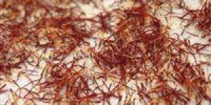 حروب الذهب الأحمر.. أزمة المضائق تهز عروش الزعفران الإيراني