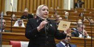 خاص.. تحيا مصر ينشر نص مشروع قانون الإدارة المحلية المقدم من نائبة حزب العدل سحر عتمان