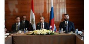 وزير الخارجية: مصر تسخّر كل جهودها الديبلوماسية لوقف التصعيد بالمنطقة