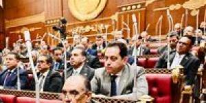 النائب محمد الجندي: قانون حماية المنافسة الجديد نقلة نوعية تمنح الدولة قدرة استباقية لكبح الاحتكار