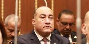 عمرو رشاد عضو مجلس الشيوخ: مصر لها دورٌ محوري وتاريخي في صياغة استقرار الشرق الأوسط