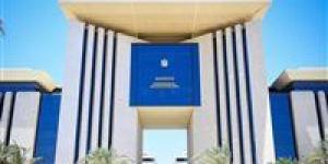 مصر: الوضع في لبنان حرجاً ونطالب إسرائيل بالوقف الفوري لعدوانها على بيروت