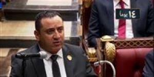 بعد مقترح اصدار قانون خاص بالوظيفة المحلية.. النائب ولاء حافظ لـ تحيا مصر: خطوة حاسمة نحو اجتثاث الفساد وتعزيز الرقابة بالمحافظات