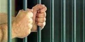 فيديو يفضح شبكة حشيش.. ضبط 3 متهمين في ترويج مخدرات بالإسماعيلية