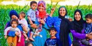 موعد صرف معاش تكافل وكرامة ورابط الاستعلام بالرقم القومي عبر التضامن