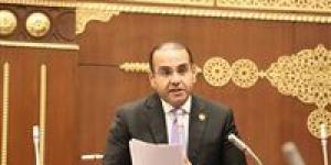 النائب محمد المنزلاوي: قانون الأسرة الجديد إعادة هندسة حقيقية لاستقرار المجتمع وضبط العلاقات داخل البيت المصري