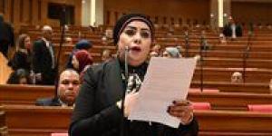 جيهان شاهين تثمن توجيهات الرئيس: قانون الأسرة الجديد ضرورة ملحّة لمعالجة اختلالات الواقع وتحقيق العدالة داخل الأسرة