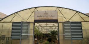 حديقة النباتات الطبية بجامعة نجران.. مبادرة تعزز التعليم والبحث العلمي
