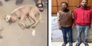 خوفا من مرضه.. القبض على شقيقين تعديا على كلب حتى نفوقه بالشرقية