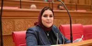 النائبة نيفين الكاتب تتقدم بطلب إحاطة بشأن انتشار الكلاب الضالة وخطورتها على المواطنين