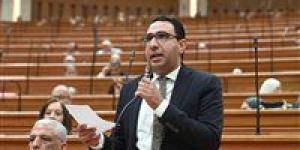 النائب عبد الوهاب خليل أمينا لحزب مستقبل وطن بمحافظة الجيزة