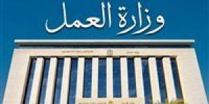 وزارة العمل تعلن عن 500 فرصة عمل بشركة "ليوني مصر" بمدينة بد