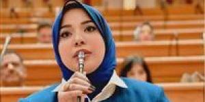البرلمان يناقش طلب النائبة دينا الهلالي بشأن تطوير منظومة الدعم التمويني الاثنين المقبل