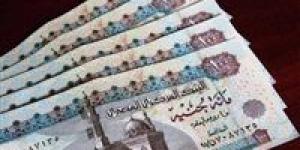 زيادة المعاشات 2026.. موعد التطبيق والنسبة المتوقعة