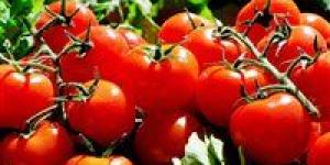 الطماطم تولع السوق.. أسعار الخضار تقفز بشكل مفاجئ