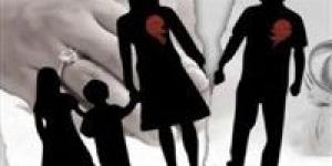 الاستزارة في مشروع قانون الأحوال الشخصية الجديد.. ضوابط المبيت وسقوط الحق حال الامتناع عن النفقة