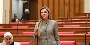 مروة بريص تتقدم بطلب إحاطة بشأن أزمة الإسكان في رأس غارب: السكن أصبح عبئًا يفوق قدرات الشباب والأسر