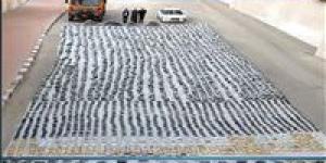 مكافحة المخدرات بالشرقية تحبط ترويج 5 كيلو حشيش و10 كيلو هيدور ببلبيس