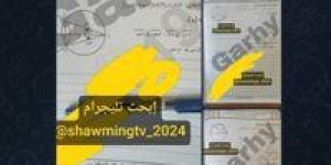 تداول امتحانات الشهادة الإعدادية على تليجرام اليوم بعد بدء اللجان.. والتعليم تتابع