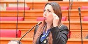 البرلمان يناقش شكاوى المواطنين من زيادة تكلفة الكهرباء للعدادات الكودية بعد طلب إحاطة نشوى الشريف