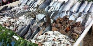 أسعار الأسماك اليوم الإثنين، المكرونة السويسي بـ 130 جنيها وارتفاع جديد في البوري