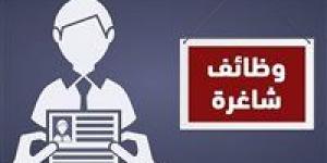 عاجل.. وزارة العمل تعلن عن 7781 فرصة عمل جديدة بـ49 شركة خاصة