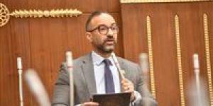 الحمامصي: نعتز بحاملي الماجستير والدكتوراه.. ولكن الشهادة ليست تذكرة عبور إلى الوظيفة الحكومية