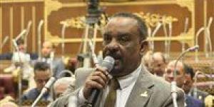 النائب أحمد حافظ: القاهرة أصبحت عاصمة صناعة التوافقات الإقليمية بفضل دبلوماسية الرئيس السيسي