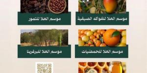 هيئة العلا تدعو المزارعين والأسر المنتجة للمشاركة في مواسم «خيرات العلا»