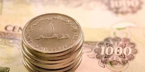 سعر الدرهم الإماراتي أمام الجنيه في البنك الأهلي اليوم الأحد 28- 6- 2026