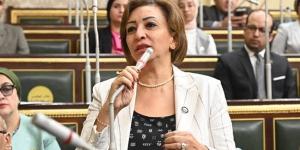 مها عبدالناصر عن قانون "مستقبل مصر": إنشاء كيانات موازية ليس هو الطريق الصحيح للإصلاح