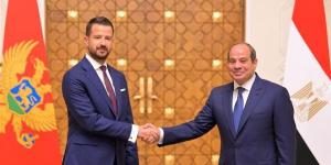 الرئاسة في أسبوع.. السيسي يؤكد لرئيسة تنزانيا أهمية تعزيز العلاقات الثنائية.. يبحث مع رئيس الجبل الأسود تطوير التعاون الاقتصادي.. ويؤكد لـ ميلوني ضرورة تكثيف الاستثمارات الإيطالية بالسوق المصري