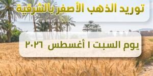 ارتفاع إجمالي القمح المورد لصوامع الشرقية إلى 677 ألف طن
