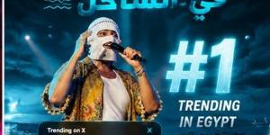 بعد حفل كامل العدد في الساحل، تووليت يتصدر تريند «X» ويحتفل مع جمهوره بنجاح ألبومه «صديق البرنامج» - النيل نيوز