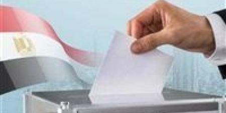 خلال جولة إعادة المرحلة الثانية.. غلق باب التصويت بلجان الاقتراع بسفارات وقنصليات مصر في 11 دولة.. وبدء الفرز